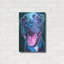 «Pit Bull - Bleu ciel» par Dawg Painter-617658911