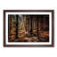 Within the Woods - Framed Print-55613129-55613130