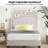 Kempst Twin Size Bed Button Tufted Upholstered Adjustable Headboard, Strong Wood Slat Support Bed Frame, Beige-1678332820-1685376030