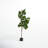 Faux Fiddle Leaf Fig Tree in Planter-984019241