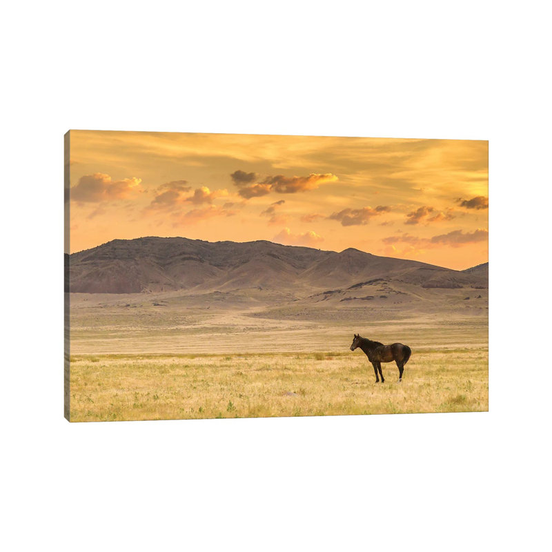 USA, Utah, Tooele County. Wild Horse At Sunrise. by Jaynes Gallery - Wrapped Canvas Gallery-Wrapped Canvas Giclée