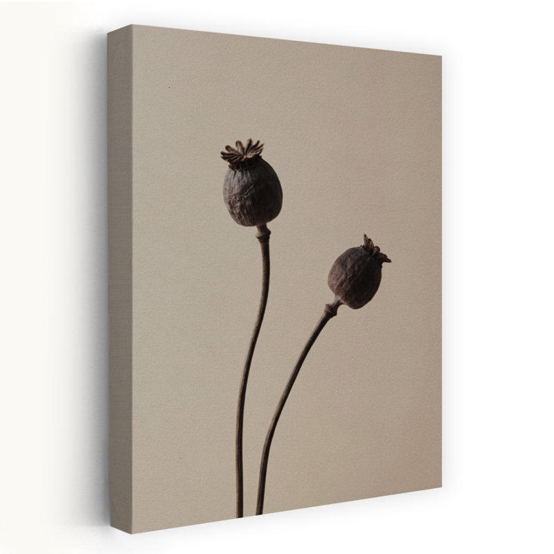 «Elegant Poppy Pods», art mural élégant et minimaliste, H 60 po x l 40 po