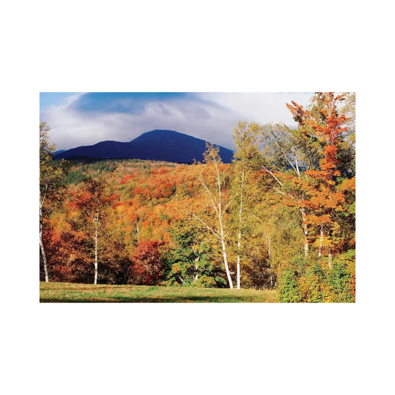 Autumn Landscape, White Mountain National Forest, New Hampshire, USA - Wrapped Canvas Print, 20.32 cm H x 30.48 cm W