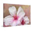 Cherry Blossoms by Theo - Wrapped Canvas Painting-1991013080