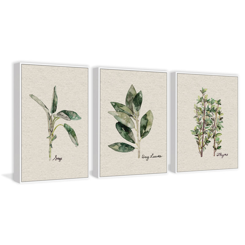 Herb Trio II Triptych by Rachel Byler - 3 Piece Floater Frame Set on Canvas, 60" H x 40" W x 1.5" L