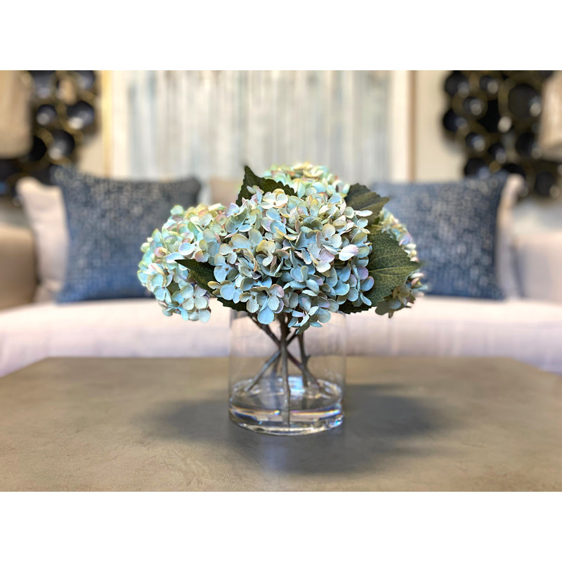 Hortensia, Bleu