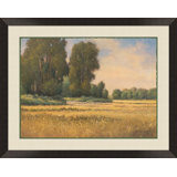 Warm Summer Painting