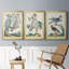 «Pastel Birds I», toile encadrée de qualité supérieure - prête à être accrochée-69982356-69982357