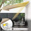 Patio Awning, Canopy Retractable Sun Shade Shelter W/ Manual Crank Handle For Deck, Yard-125181352-125181376