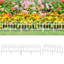 Rudi 32.5cm H x 60cm W Edging-1539606850