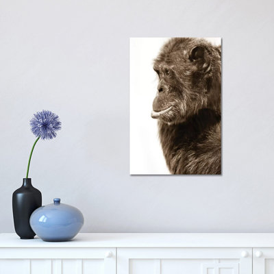 Chimpanzee III by Goran Anastasovski - Wrapped Canvas Print