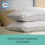 Sealy Anti Allergy PillowS - 4 Pack