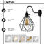 Plug-in Armed Sconce