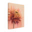 Art mural sur toile tendue - art mural Grace Popp «Sun-Drenched Mums I» pour le salon, la chambre à coucher ou le bureau - 35 x 47