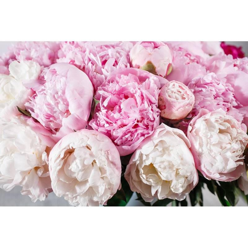 Hurdsfield Blooming Peonies Flowers - Wrapped Canvas Print, 81cm H x 122cm W x 3.8cm D