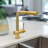 Lulani Nassau Pull Out Kitchen Faucet-86768818