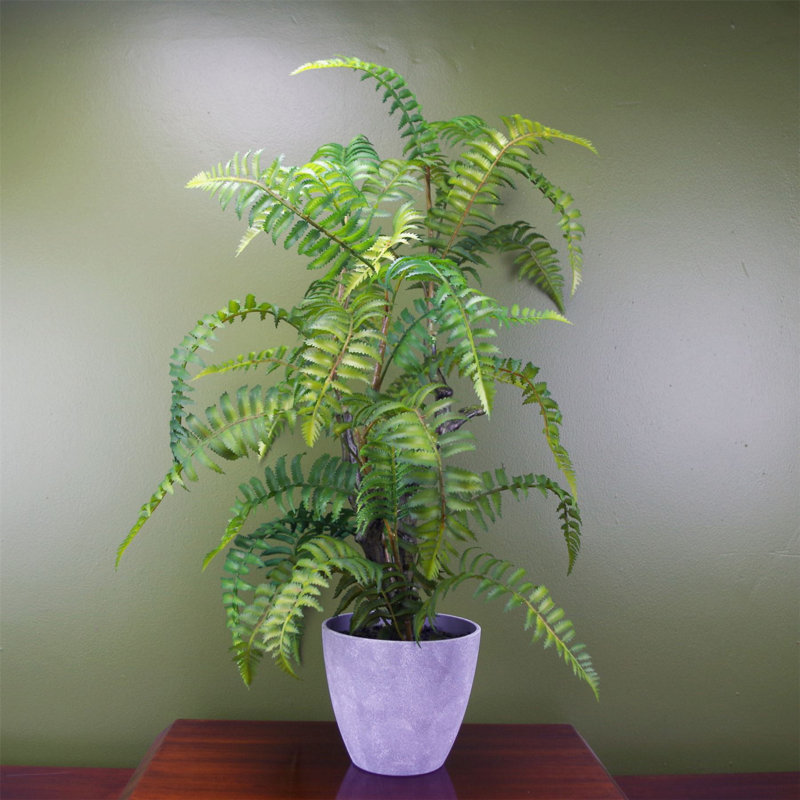 70cm Faux Fern Plant in Planter
