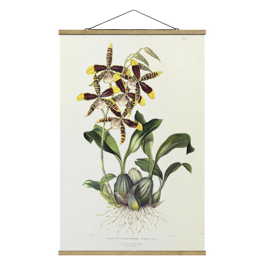 Stoffbild Orchid II von Maxim Gauci