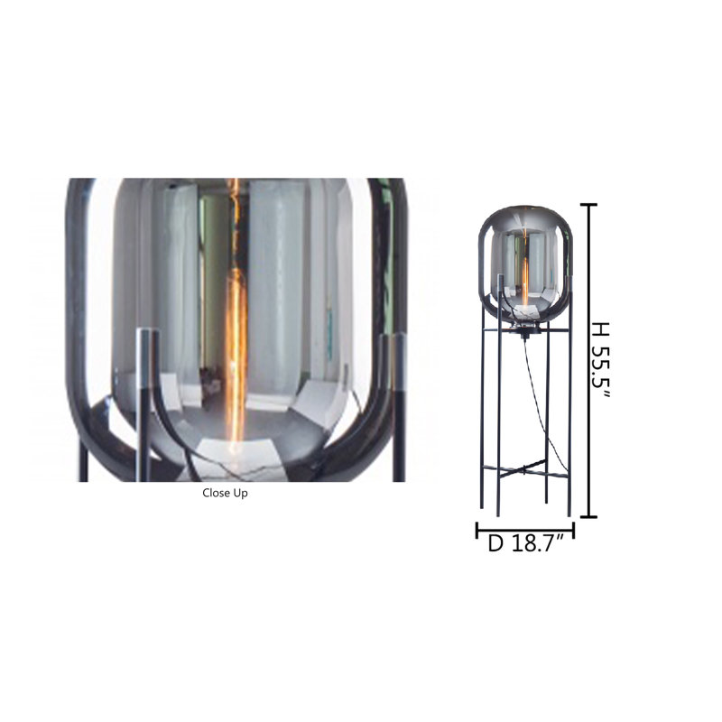 Levin 1-Light Matte Black Floor Lamp With A Smoke Glass Shade