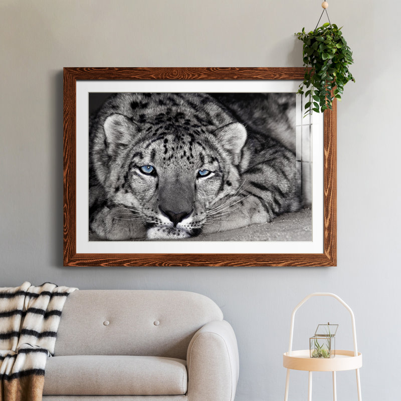 " Snow Leopard Sanctuary ", Maple Framed Paper, 31.5" H x 23.5" W x 1.5" D