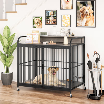 Table d'appoint pour chien, cage pour chien