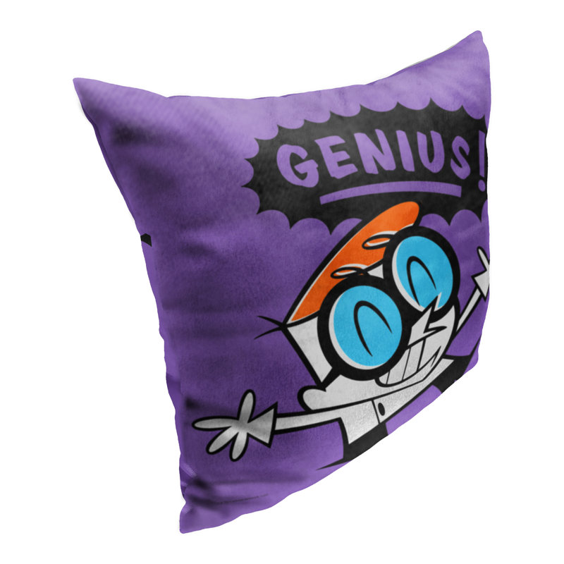 Pillow Cover
