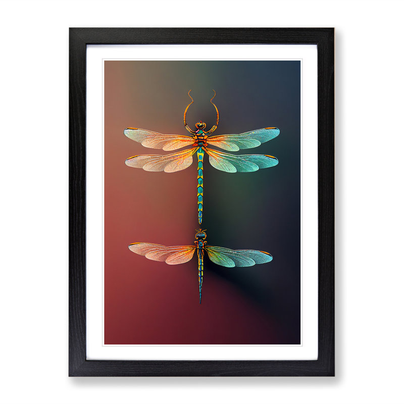 Charming Dragonflies - Single Picture Frame Print, Black, 64cm H x 46cm W x 2cm D