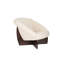 Accent Chair Lounge Chair