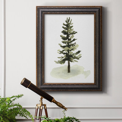 " Watercolor Pine II "