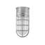 Flush Mount Guard Sconce