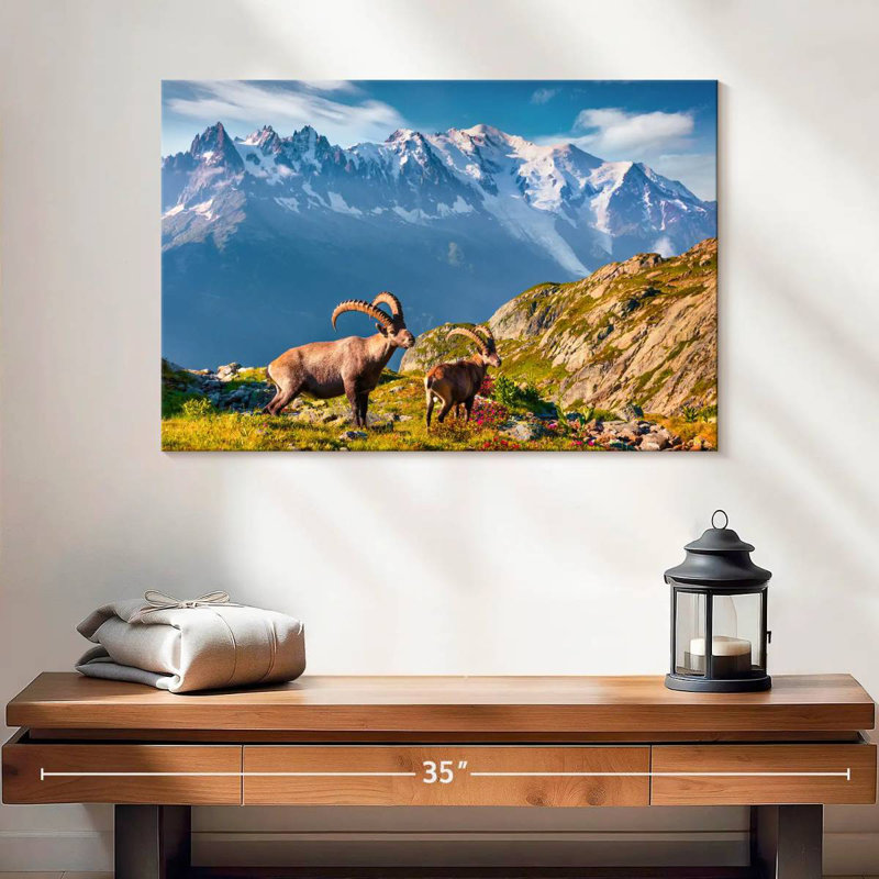 Alvord Mont Blanc Ibex, 16" H x 24" W
