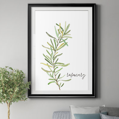 " Fresh Sprig Rosemary " Painting Print