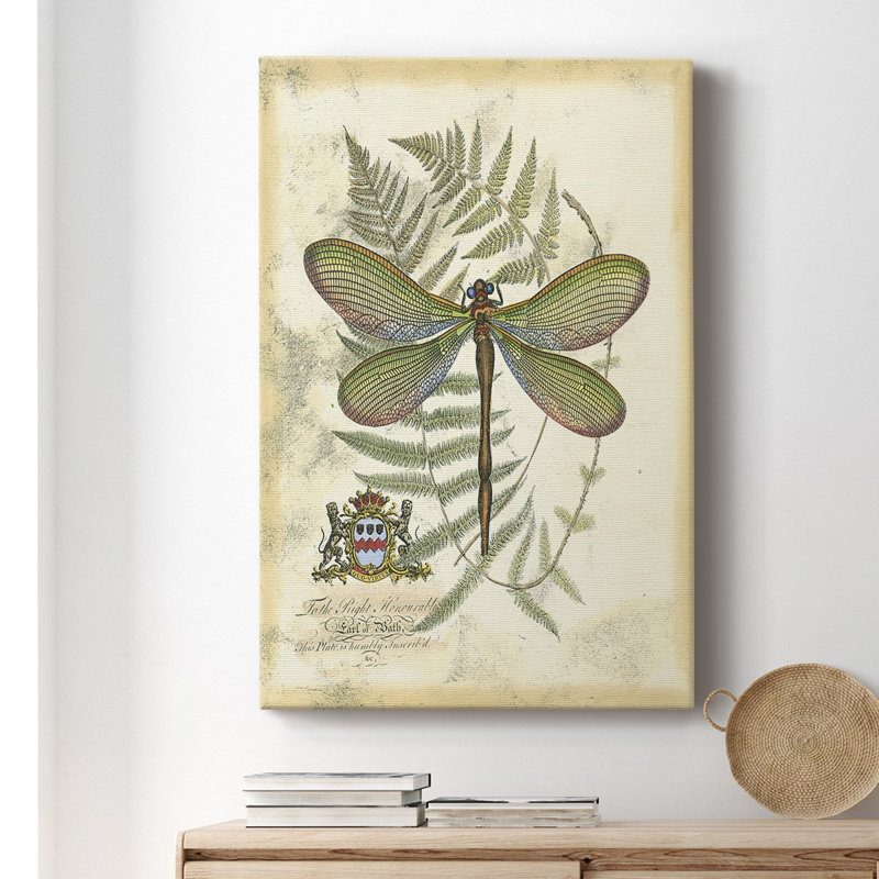 Regal Dragonfly I (PP) - impression sur toile tendue, H 18 po x l 12 po x P 1 po