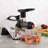 Omega Cold Press Premium Low-Speed Horizontal Juicer With Nutrition System, In Silver-74367400