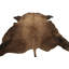 Rug & Kilim’S American Bison Hide Fur Rug In Chocolate Brown Tones