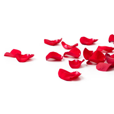 Laying Down Rose Petals by Esolla