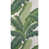 Verde is out of stock