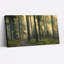 «Forest Path», ensemble de 1 reproduction d'art sur toile tendue sur toile-657262852