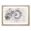 Spiral Staircase - Picture Frame Graphic Art Print-56877859-56877858