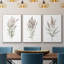 "Dicat Botanical I", reproduction sur toile 3 pièces-91890850-91890847
