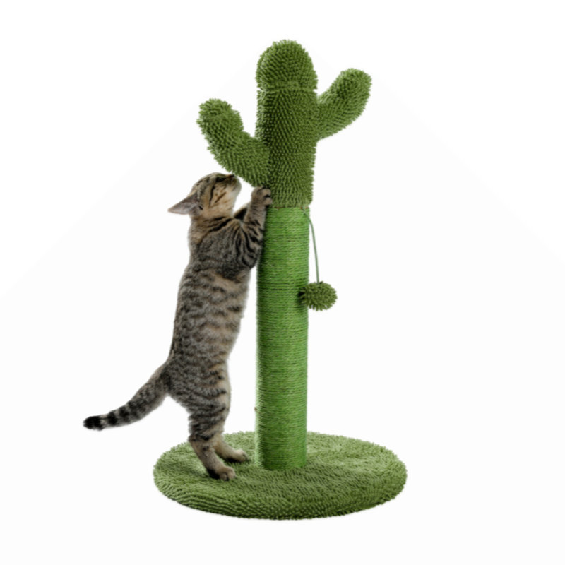 Adarius Scratching Post