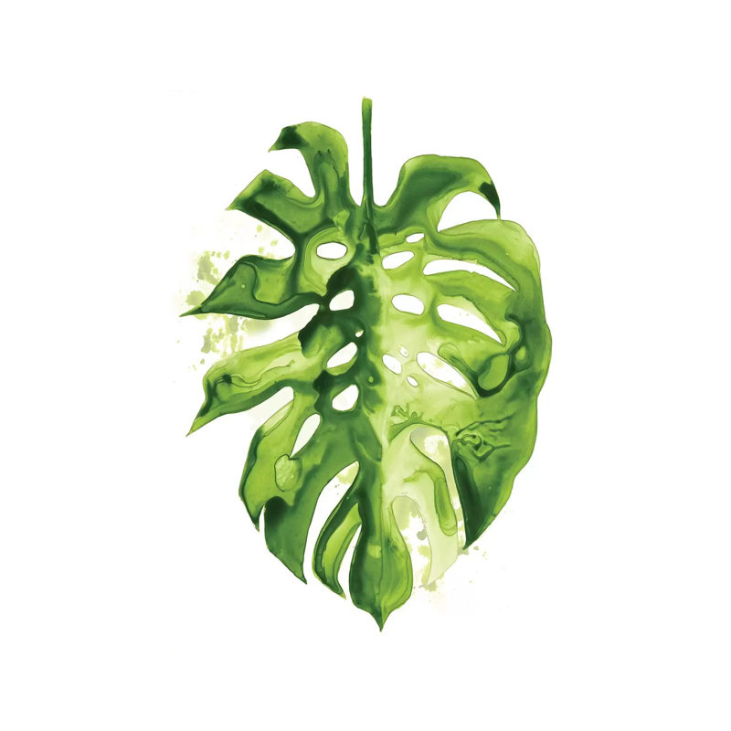 Monstera II by Grace Popp - Wrapped Canvas Print, 30.48 cm H x 45.72 cm W