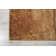Hartlepool Floral Area Rug