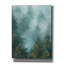 «Misty Forest 2» par Julia Purinton, art mural sur toile-162924210