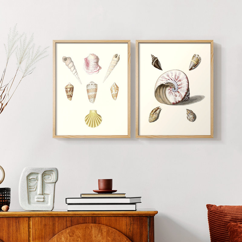«Pastel Knorr Shells I», reproduction encadrée de qualité supérieure - prête à être accrochée - aucun clou requis - aucun clou requis