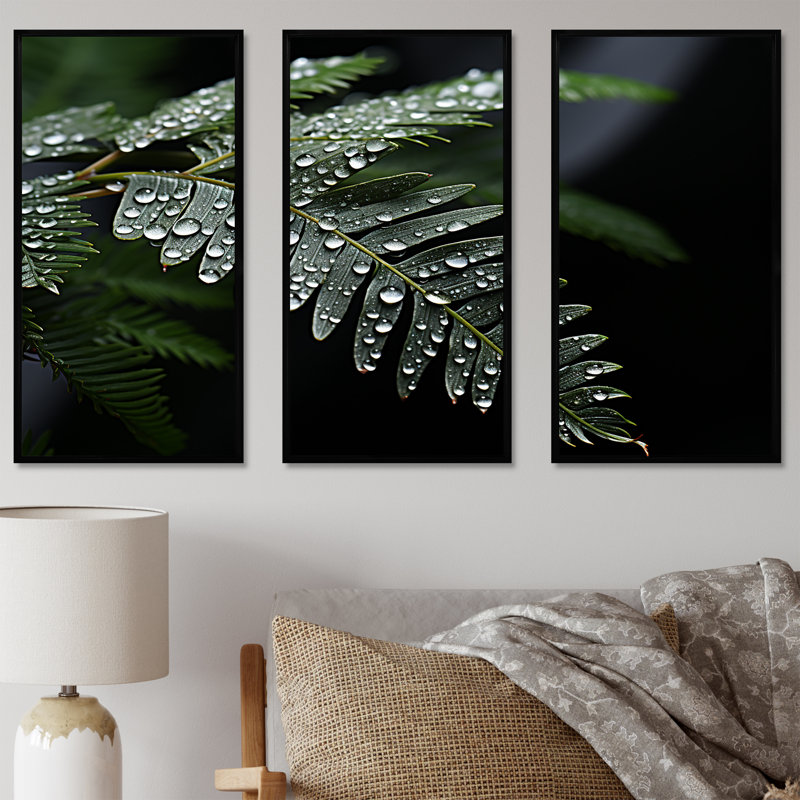 Ferns Charm In Winter - Ferns, ensemble d'art sur toile, Cadre flottant noir, H 28 po x l 36 po x P 1 po