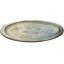 Decorative Tray