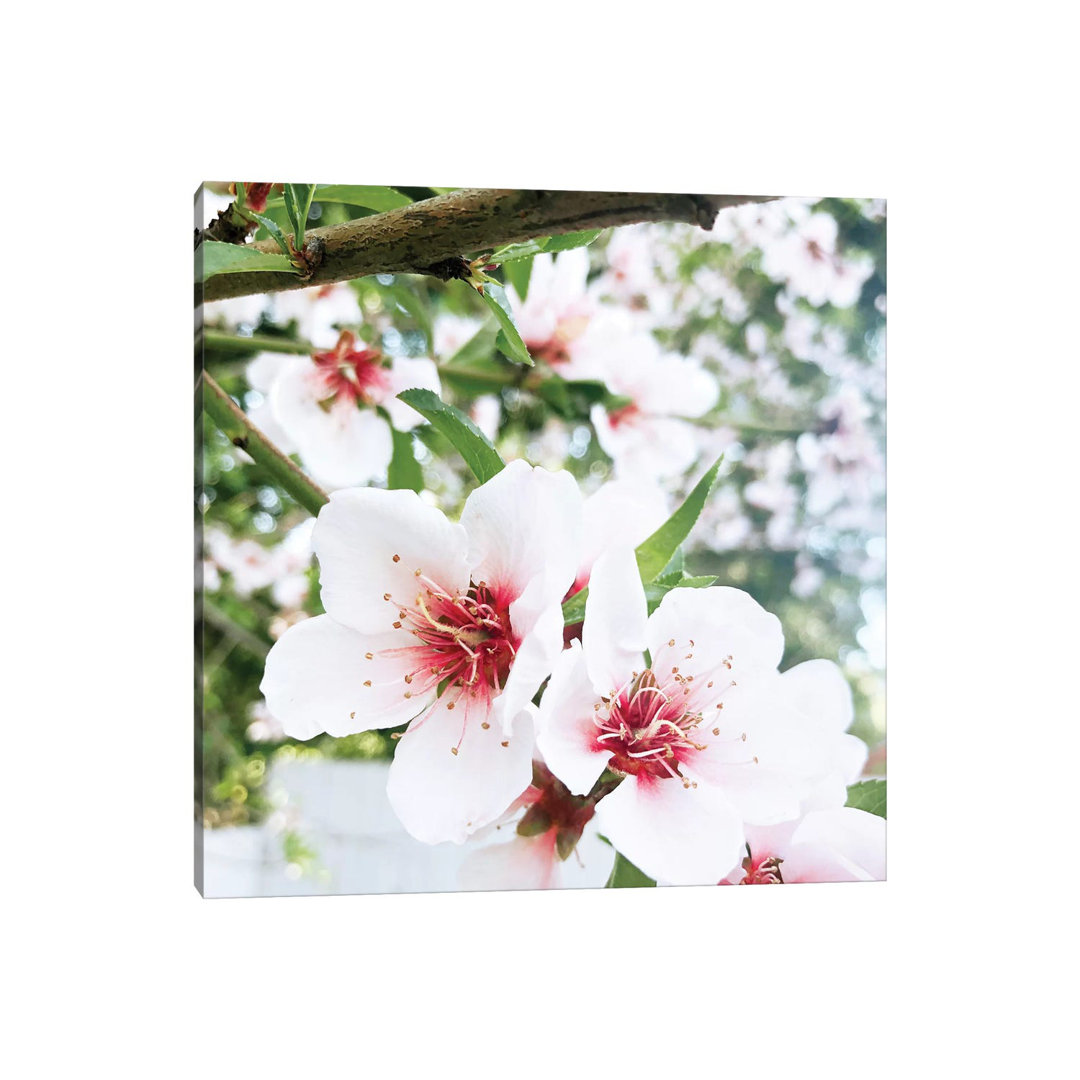Flowering Peach Tree III by Irena Orlov - Wrapped Canvas Print