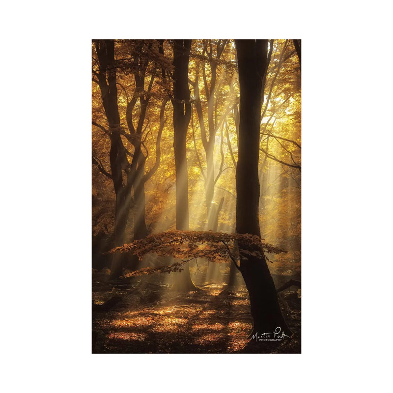 The Umbrella by Martin Podt - Wrapped Canvas Print, 30.48 cm H x 45.72 cm W