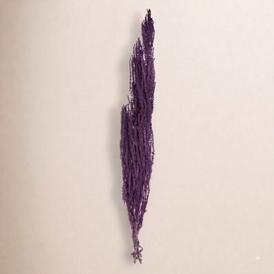 Preserved Amaranthus Stems